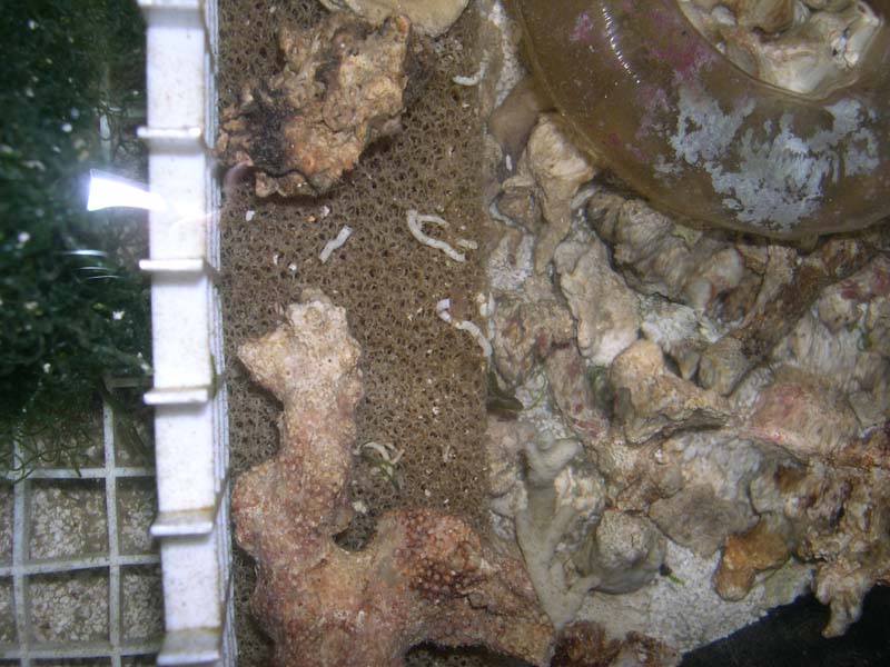 DSCN8071.jpg