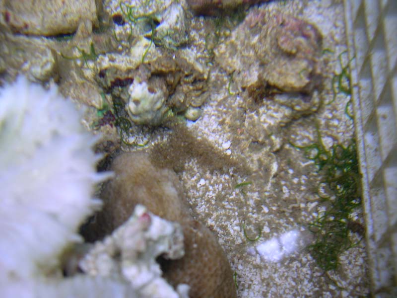 DSCN8083.jpg