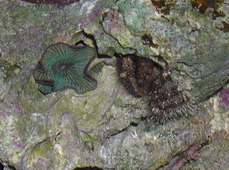 DSCN8119.jpg